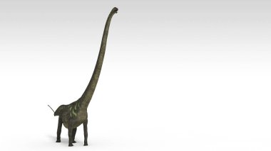 beyaz izole mamenchisaurus dinozor 3D render