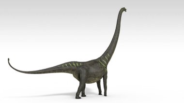 beyaz izole mamenchisaurus dinozor 3D render