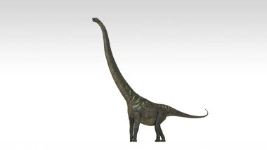 beyaz izole mamenchisaurus dinozor 3D render
