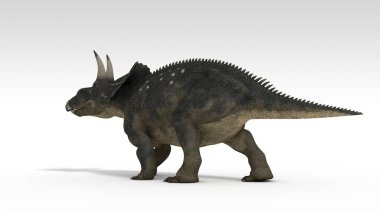 beyaz izole diceratops dinozor 3D render