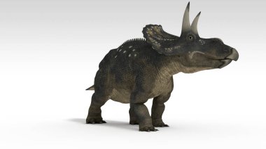 beyaz izole diceratops dinozor 3D render