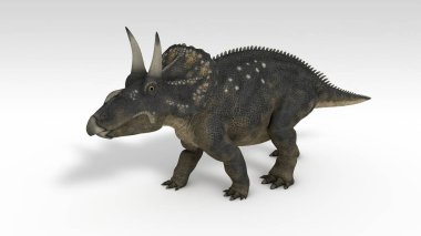 beyaz izole diceratops dinozor 3D render