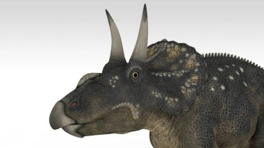 beyaz izole diceratops dinozor 3D render