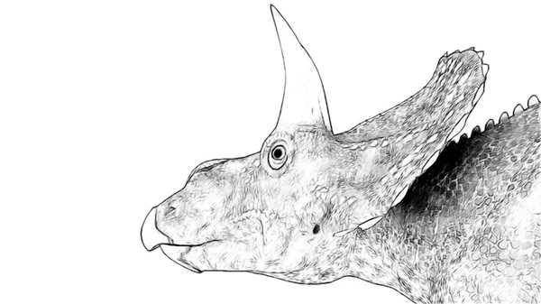 Černobílá Kresba Dinosaura Izolovaná Bílém Pozadí — Stock fotografie