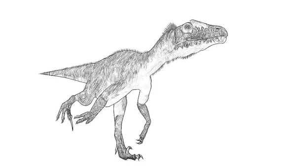 Czarno Biały Szkic Dinozaura Białym Tle — Zdjęcie stockowe