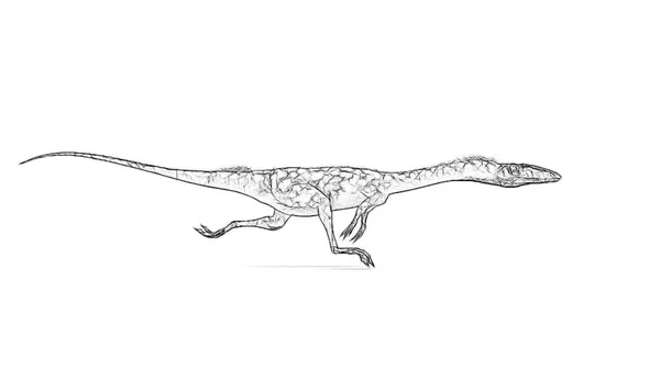 Black White Sketch Dinosaur Isolated White Background — Stock Photo, Image