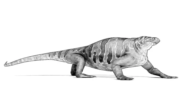 Beyaz Arka Plan Üzerinde Izole Dinozor Siyah Beyaz Kroki — Stok fotoğraf