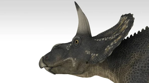 Renderizado Del Dinosaurio Diceratops Aislado —  Fotos de Stock