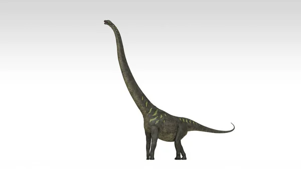 Beyaz Izole Mamenchisaurus Dinozor Render — Stok fotoğraf