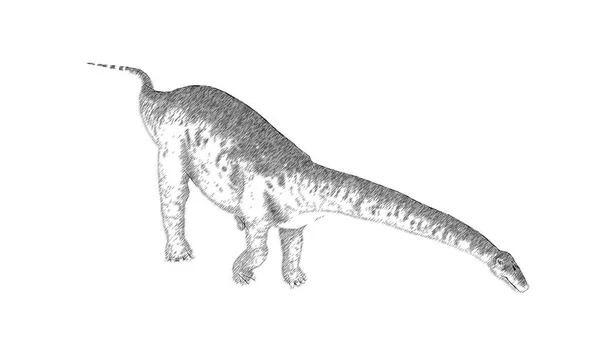 Чорно Білий Ескіз Динозавра Ізольований Білому Тлі Стокове Фото