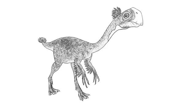 Černobílá Kresba Dinosaura Izolovaná Bílém Pozadí Stock Snímky