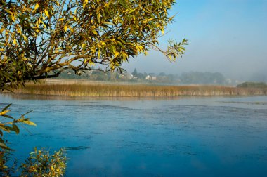 Gündüz bitkilerile renkli sonbahar nehir sahnesi