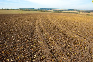Traktör gündüz tarlada iz sürüyor