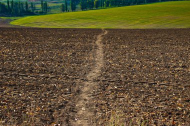 iz ile sonbahar alan