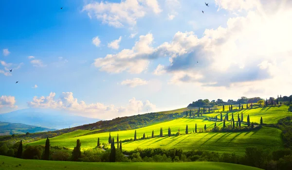 Italië Landschap Toscane Hillside Road Cipressen Velden — Stockfoto