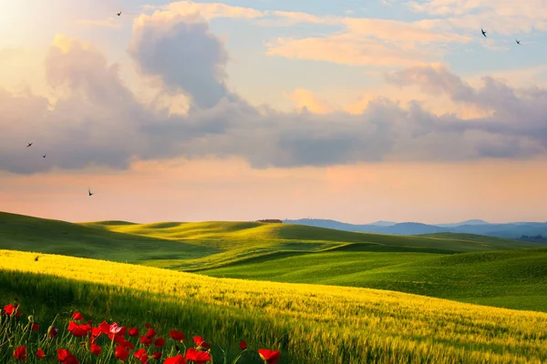 Italië Platteland Landschap Zonsondergang Heuvels Van Toscane — Stockfoto
