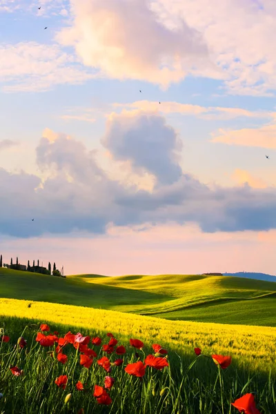 Italy Countryside Landscape Sunset Tuscany Hill — Stock Photo, Image