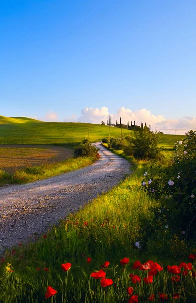 Italië Platteland Landschap Zonsondergang Heuvels Van Toscane — Stockfoto