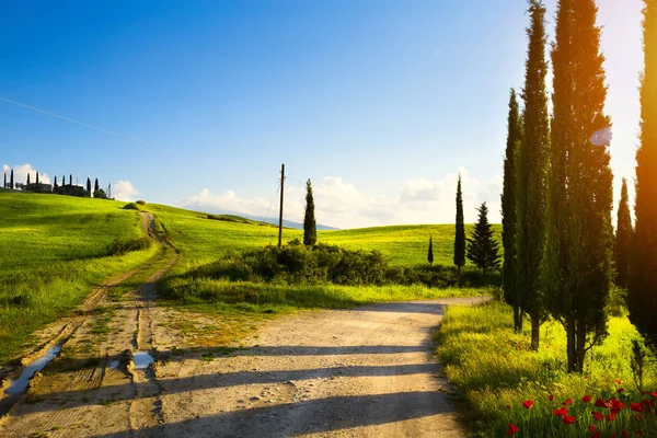 Сельский Пейзаж Кипарисами Горной Тропе Закат Над Холмами Тосканы — стоковое фото