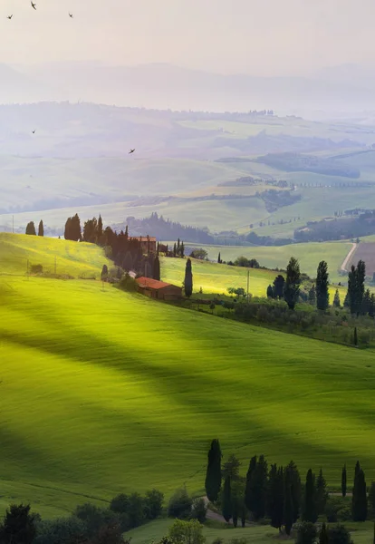 Włochy San Quirico Orcia Zachód Słońca Nad Valdorcia Toskańskie Wzgórza — Zdjęcie stockowe