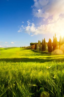 Toskana köyde; İtalya kırsal manzara Tuscany tepeler haddeleme ile; günbatımı çiftlik üzerinde lan