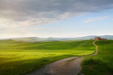 Toskana köyde; İtalya kırsal manzara Tuscany tepeler haddeleme ile; çiftlik arazi ve ülke yolun üzerinden günbatımı