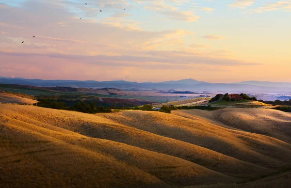 Paesaggio Tipico Toscano Tramonto Dolci Colline Toscana — Foto Stock