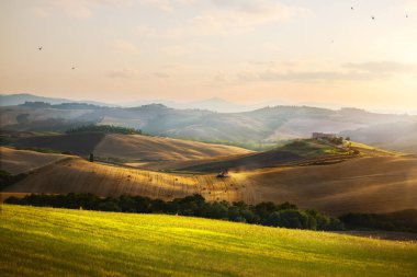 İtalya. Tuscany tarım arazileri ve tepeler; Yaz kırsal manzara