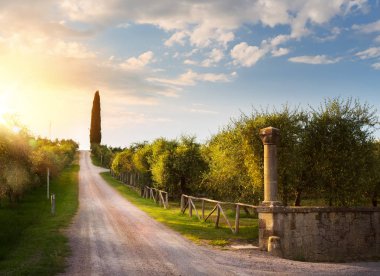 İtalya kırsal manzara köy yolunda ve eski zeytin bahçesi ile; günbatımı Tuscany villag üzerinde