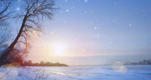 Paisaje Invernal Con Lago Congelado Árboles Nevados —  Fotos de Stock