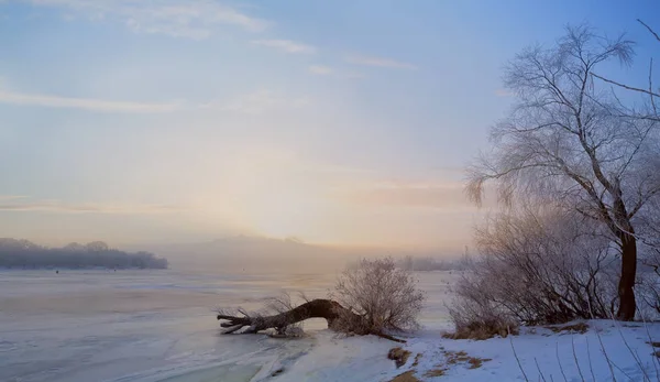 Winter Landschap Met Bevroren Meer Besneeuwde Boom — Stockfoto