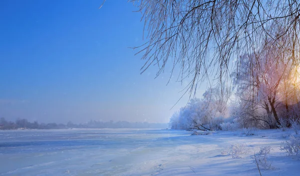 Χειμερινό Τοπίο Παγωμένη Λίμνη Και Χιονισμένα Δέντρα — Φωτογραφία Αρχείου