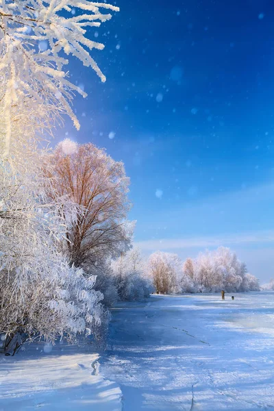 Vinter Landskap Med Frusna Sjön Och Snöiga Träd — Stockfoto