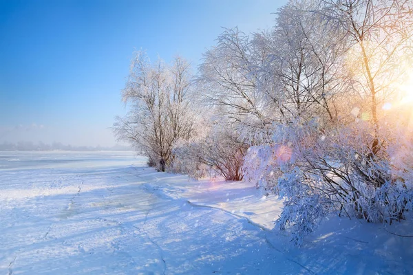 Vinter Landskap Med Frusna Sjön Och Snöiga Träd — Stockfoto