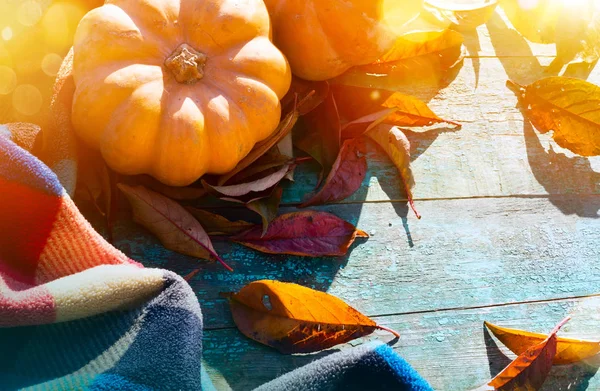 Ação Graças Com Abóboras Folhas Outono Cobertor Quente Mesa Madeira — Fotografia de Stock