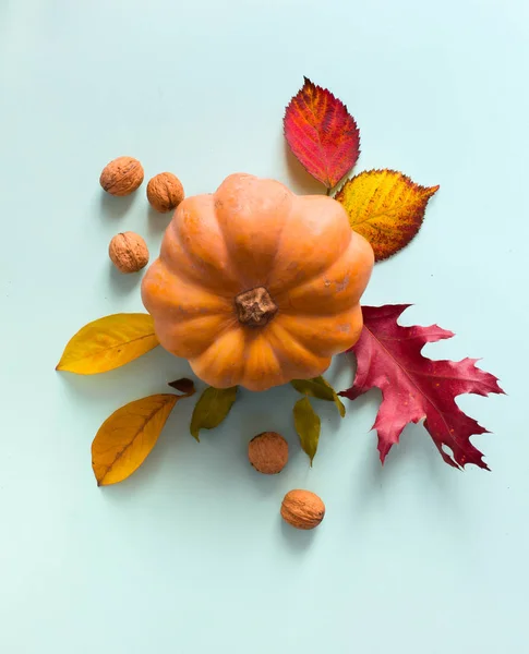 Hojas Calabaza Otoño Fondos Arte Acción Gracias —  Fotos de Stock