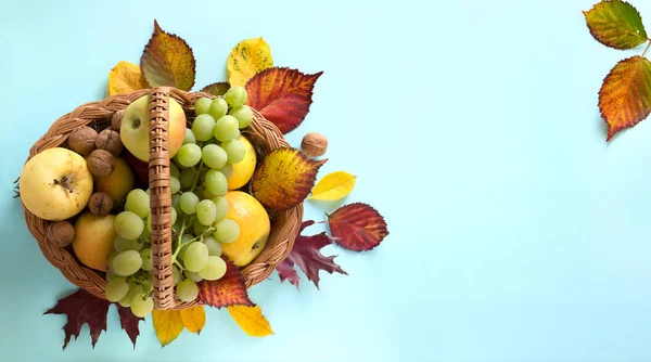 Erntedank Kunst Herbstblätter Und Obstkorb Mit Frischen Herbstfrüchten — Stockfoto