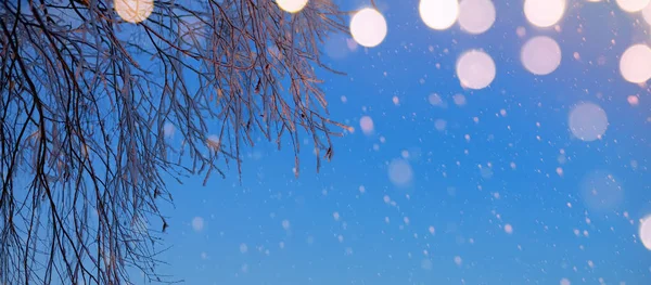 Noël Vacances Lumières Sur Fond Ciel Enneigé Hiver — Photo