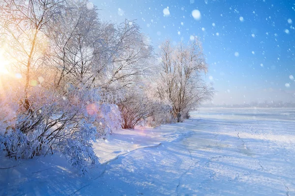 圣诞节冬天风景 冰冻的湖和雪树 — 图库照片