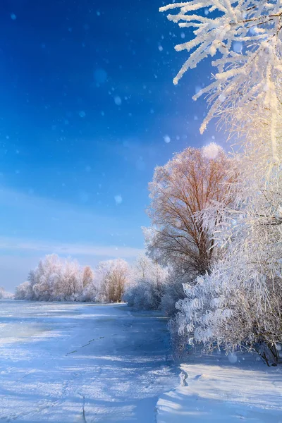 圣诞节冬天的风景与冰冻的湖泊和雪树 — 图库照片