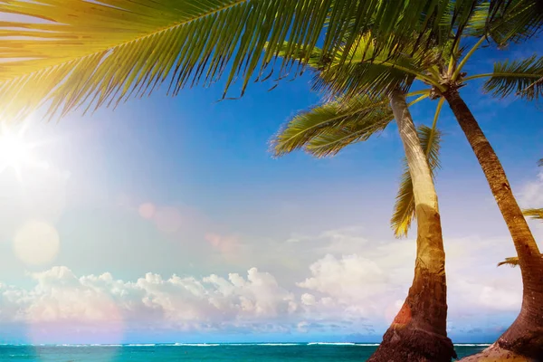 Art Beautiful Sunrise Tropical Beac — Stock Photo, Image