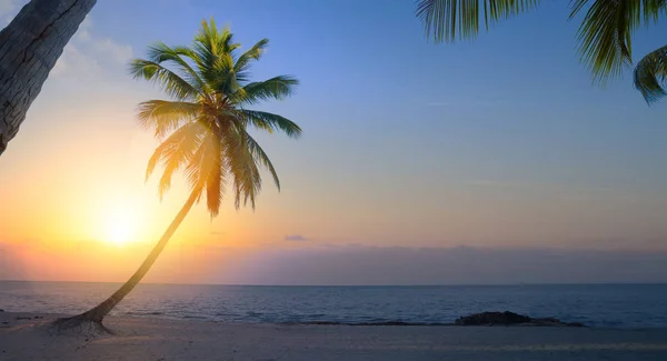 Umění Krásný Východ Slunce Nad Tropickým Majákem — Stock fotografie