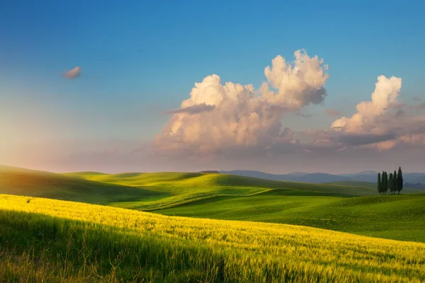 Spring Farmland Country Road Tuscany Countryside Rolling Hills — Stock Photo, Image