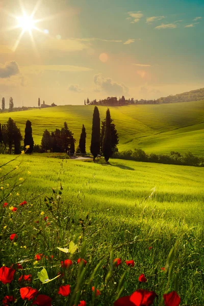 Lente Landbouwgrond Land Weg Glooiende Heuvels Van Het Platteland Van — Stockfoto