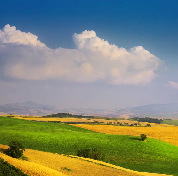 イタリアの夏の田舎の風景 ゴールデン フィールドと青い空 — ストック写真