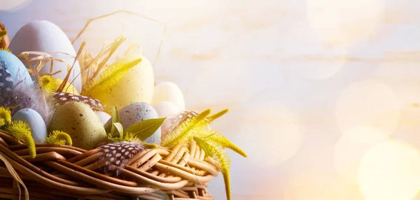 Soleggiato Sfondo Pasquale Con Uova Pasqua Nel Cestino — Foto Stock