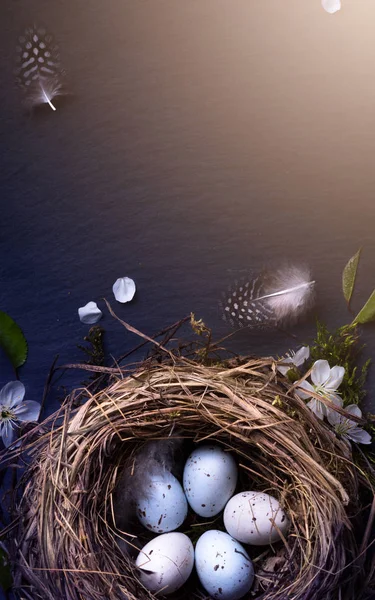 Feliz Pascua Huevos Pascua Nido Flor Primavera Sobre Fondo Mesa —  Fotos de Stock