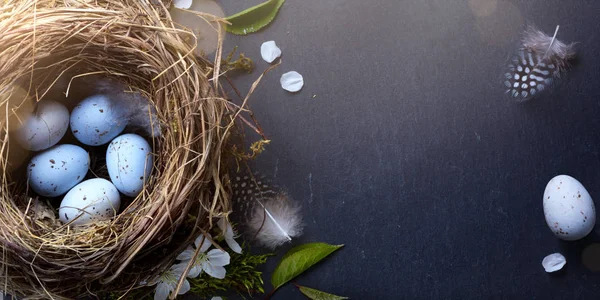 Прикрашені Великодні Яйця Гнізді Весняна Квітка Фоні Столу — стокове фото