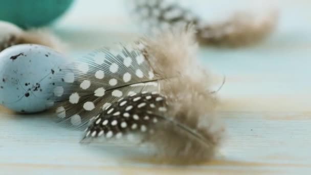 Beau paysage naturel de campagne   champ de floraison printanier sur le ciel levant 