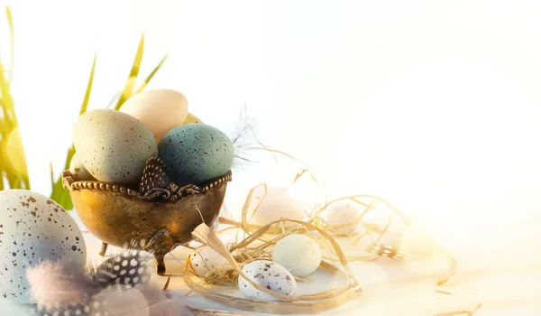 Tarjeta de felicitación de Pascua con coloridos huevos de Pascua y flores de espín —  Fotos de Stock